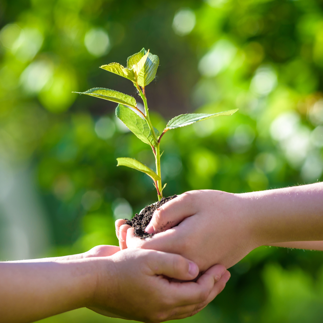 écologie-location-groupe-éléctrogéne